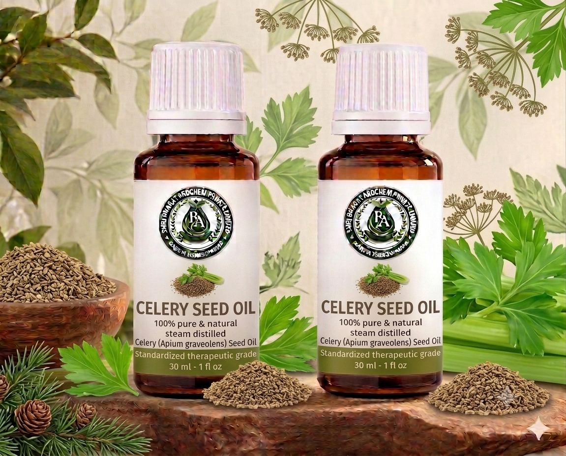 Celery seed oil