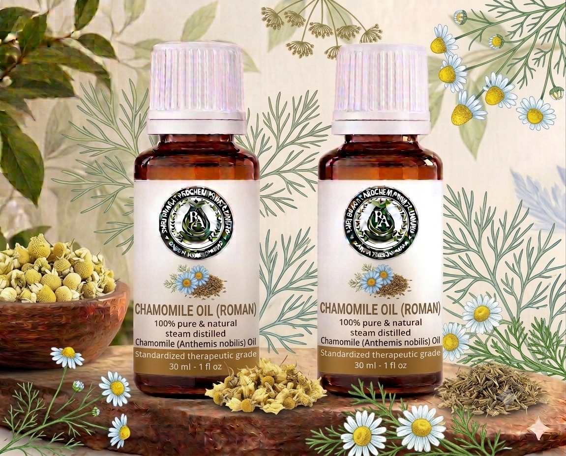 Chamomile oil (Roman)