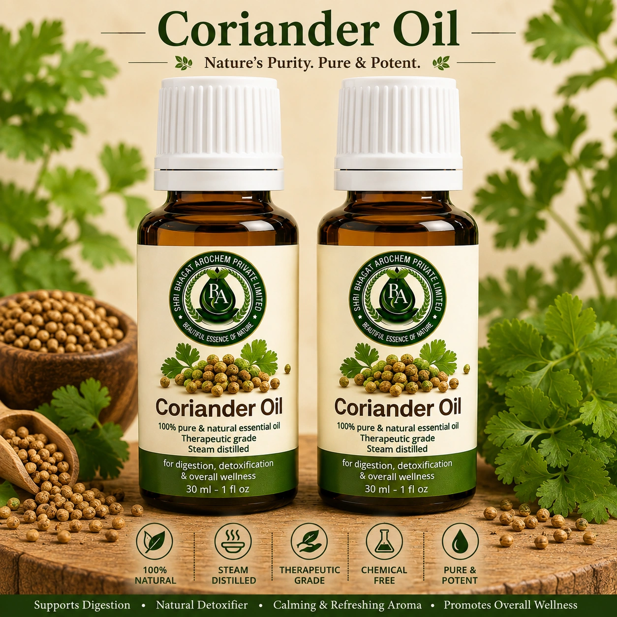 Coriander Oil