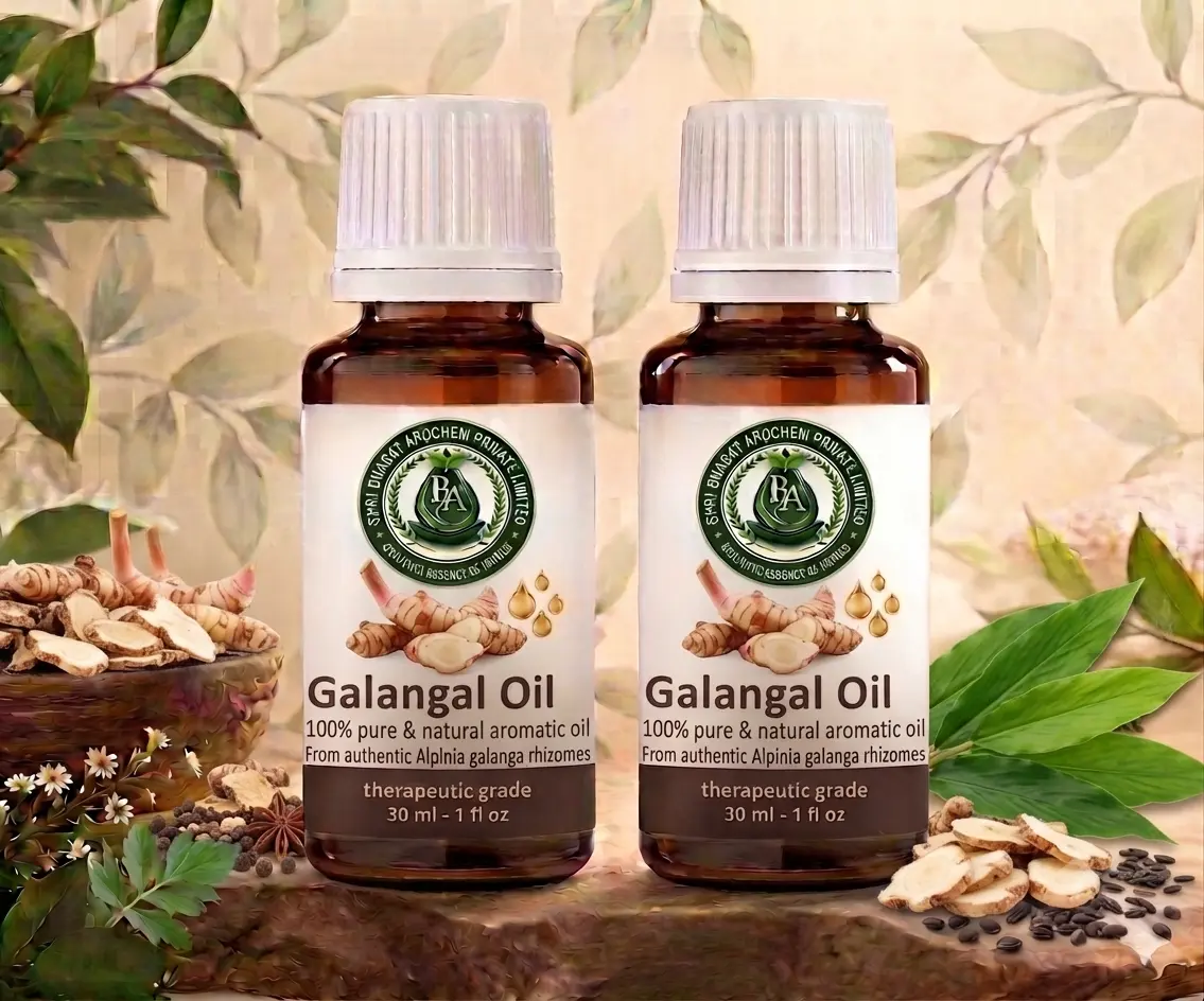 Galangal oil