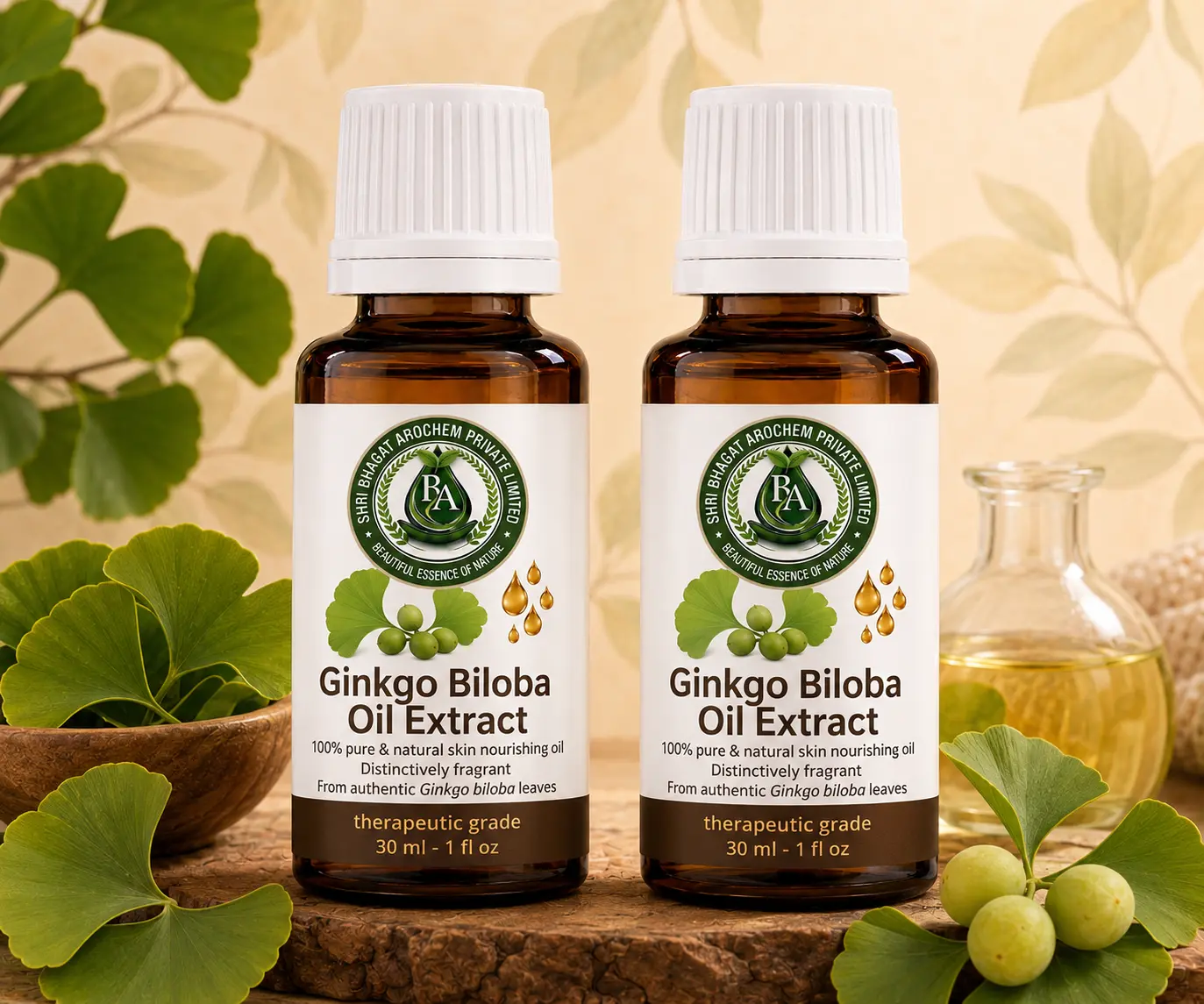 Ginkgo biloba oil extract