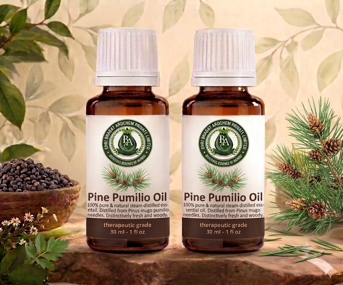 Pine pumillio oil