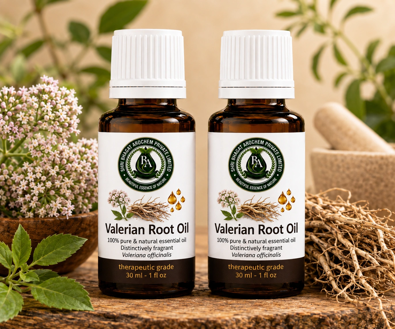 Valerian root oil