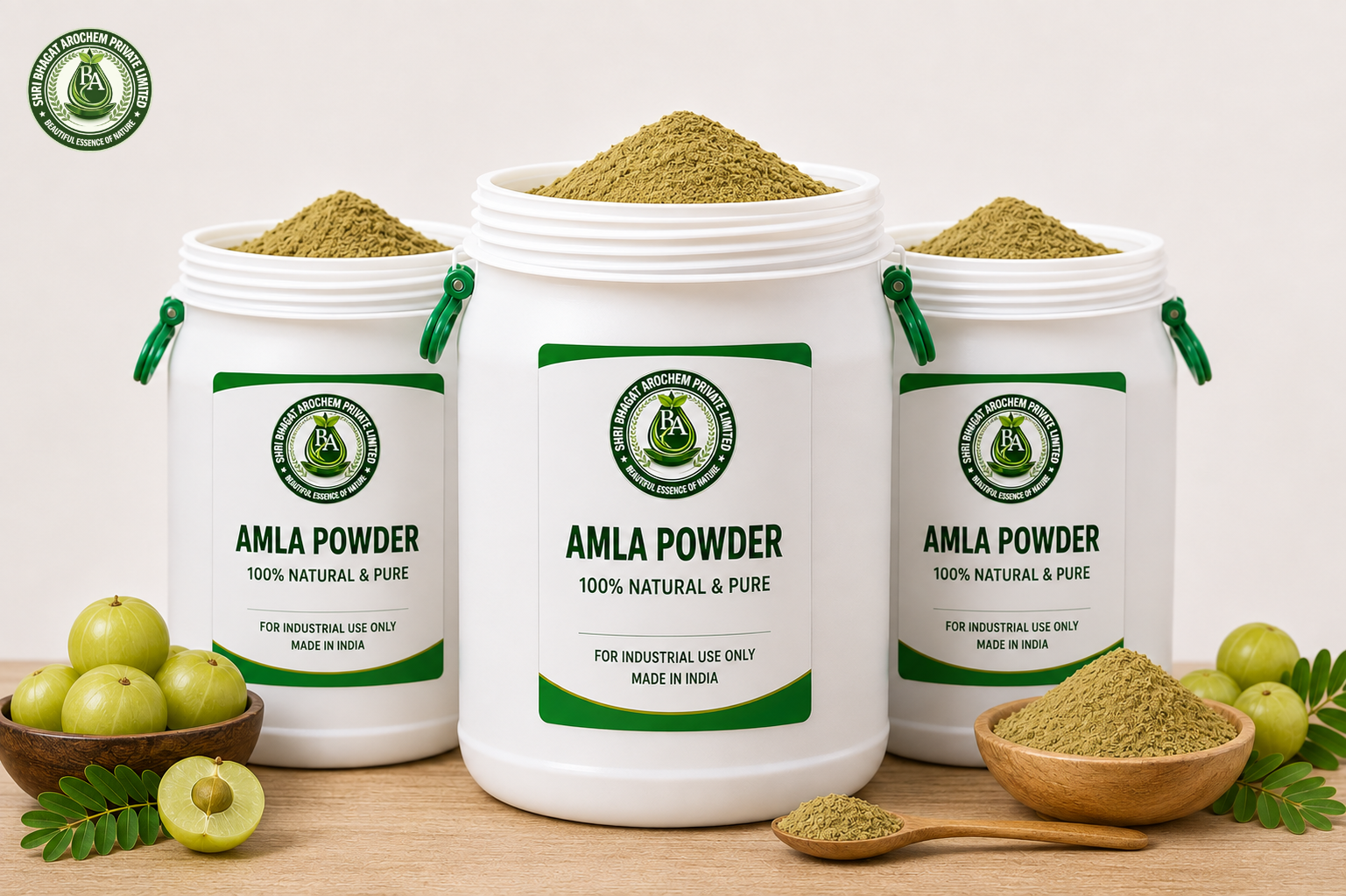 Amla Powder