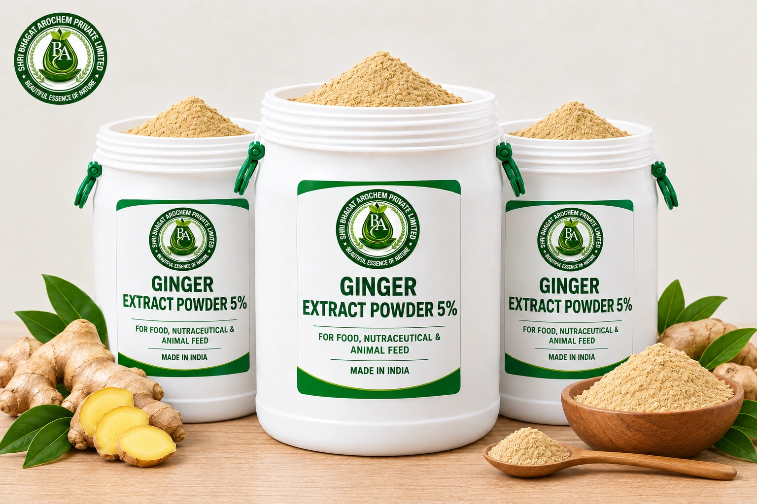 Ginger Extract powder 5%